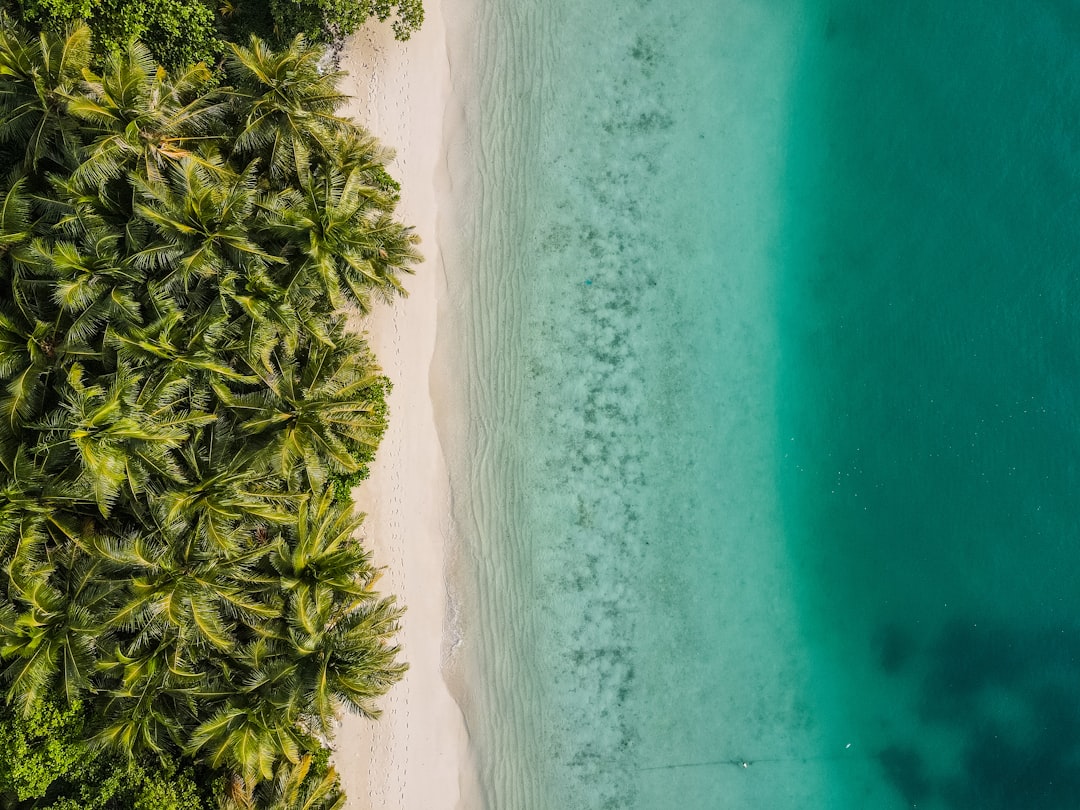 Lazy Loading Images: The Complete Guide