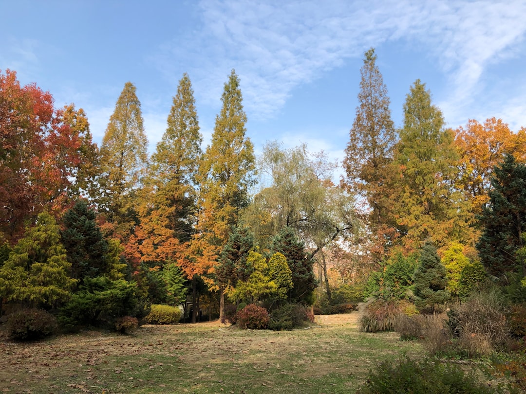 Balancing Image Quality and Speed on Travel Websites