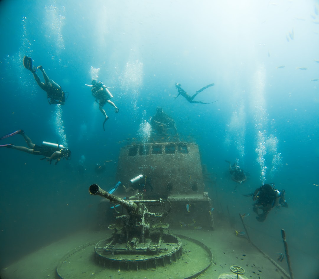 Audit Your Website's Image Performance Effortlessly